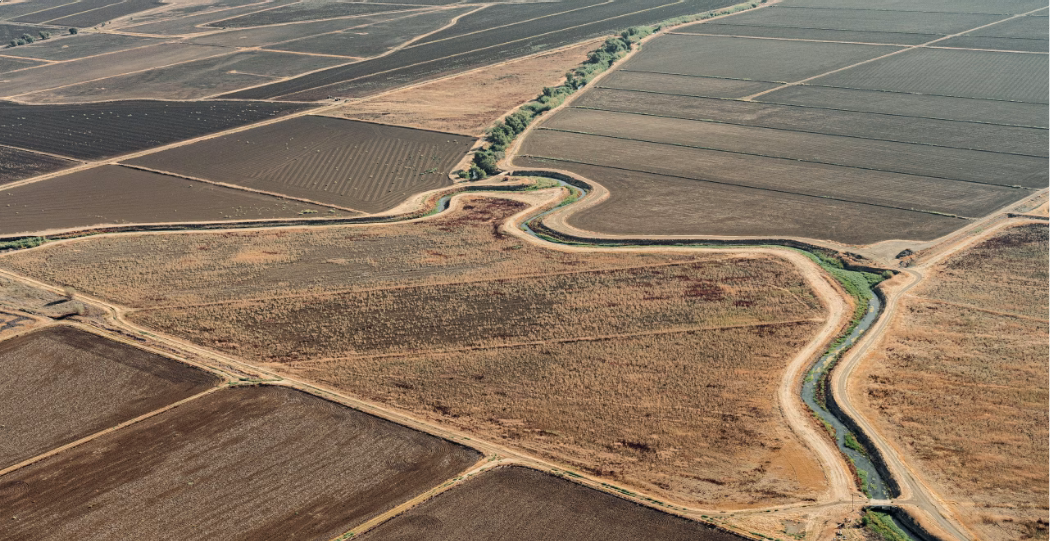 Aerial view of California rice fields showing water canals and drought-affected parcels